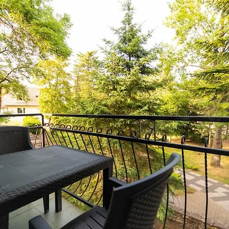 Homestay Flauta
