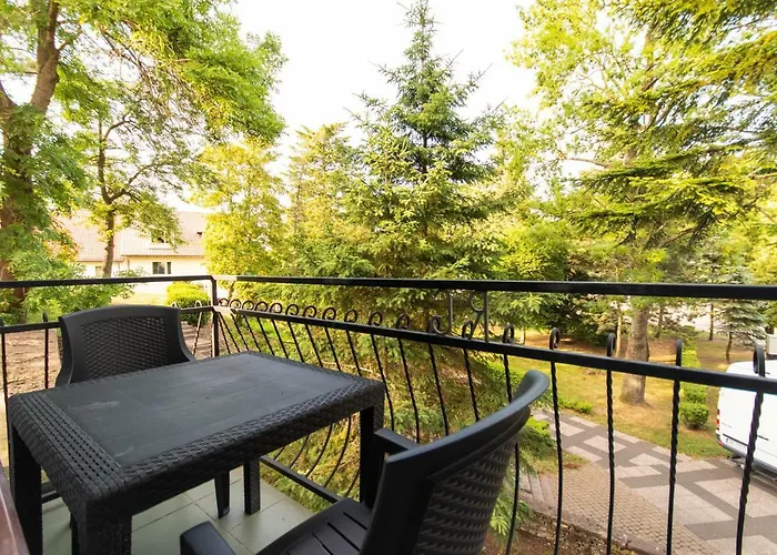 Homestay szállás Flauta